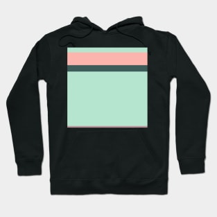 A sensational farrago of Feldgrau, Pale Turquoise, Pale Salmon and Rosy Brown stripes. Hoodie